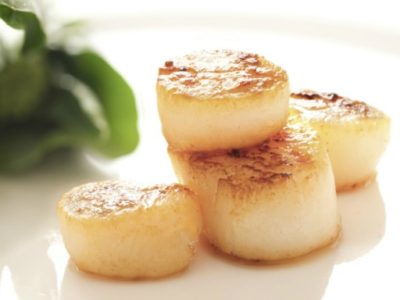 Produits à l'échelle et coquille